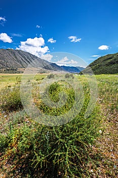 Landscape at Cardona Kur - Kechu. Altai Republic, Russia