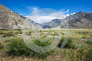 Landscape at Cardona Kur - Kechu. Altai Republic, Russia