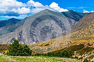 Landscape at Cardona Kur - Kechu. Altai Republic, Russia