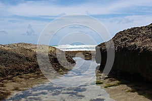 Landscape of the Carneiros beach in Pernambuco Brazil photo