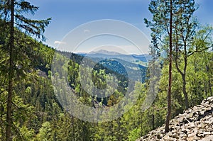 Landscape of the Carpathian mountains