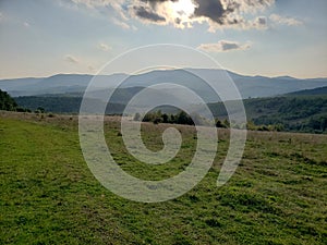 Landscape of Carpathian mountains and green forest in Ukraine