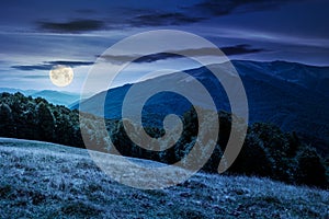 Landscape of Carpathian mountains at night