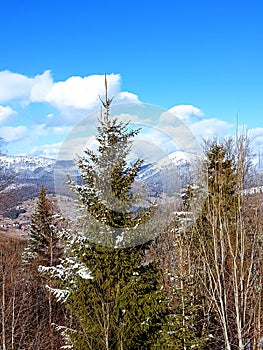 Landscape in Carpathian mountains, Ukraine