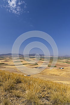 landscape of Castilla La Mancha near Consuegra, Spain