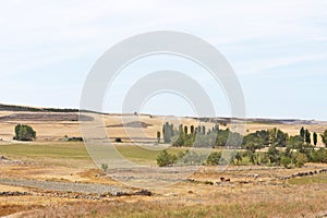 Landscape of Castilla y Leon near the village of Montealetre de