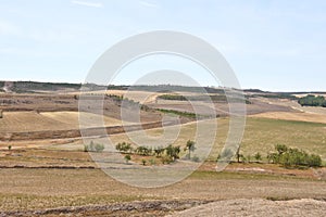 Landscape of Castilla y Leon near the village of Montealetre de