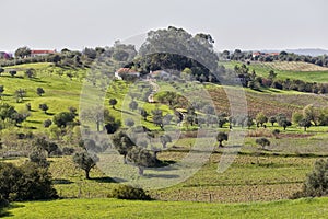 Landscape in CasÃ©vel. SantarÃ©m. Portugal