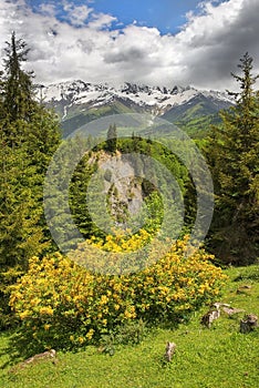 Landscape in the Caucasus Mountains, Upper Svaneti, Georgia