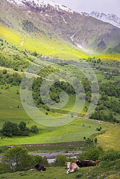 Landscape in the Caucasus Mountains, Upper Svaneti, Georgia