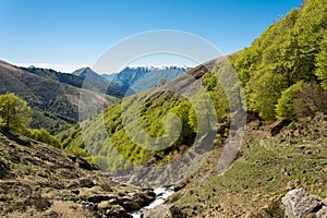 Landscape from Cavargna, Como.