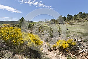 Landscape in CaÃÂ±adas de Haches de Arriba. photo