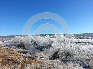 Landscape in Central Utah Great Basin Desert Snowy Scene with Crystals on Sagebrush