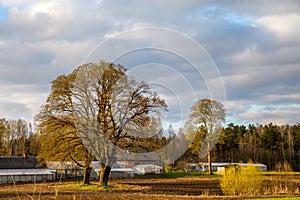 Landscape with cereal field, old farm house and blue sky