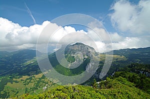 Landscape of chartreuse park