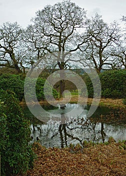 Landscape, Chatsworth Park, nr River Derwent, Peak District, Derbyshire,