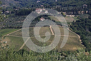 Landscape of the Chianti hills with vineyard cultivation. Ancient Vignamaggio villa in Greve in Chianti with rows of vines