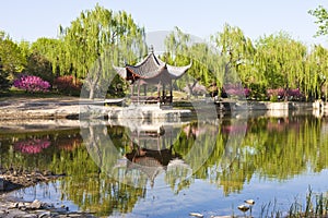 Landscape of Chinese pavilion