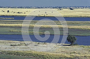 Landscape at Chobe National Park, Botswana