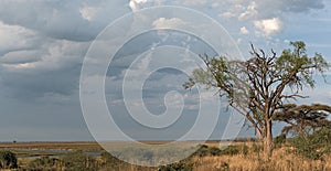 Landscape on the Chobe River in Botswana