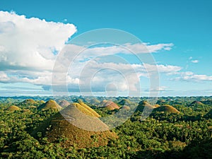 Landscape of chocolate hills. Cebu, The Philippine.