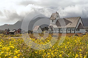 Landscape with a church in mountains in Greenland, Nanortalik, with field of flowers photo