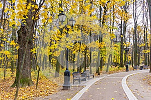 Landscape of city park in autumn day. Footpath with lanterns and benches against golden trees