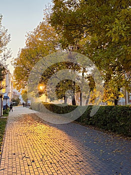 Landscape of city road in fall season. Autumn in the city of Gorno-Altaysk. Autumn city street. Vertical view