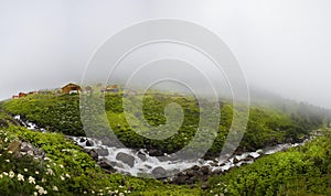 Landscape photo was taken at Badara Plateau, Rize, Turkey