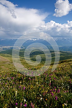 Landscape. Clouds over mountains and hills, flower fields