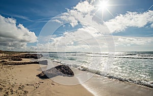 Landscape coast beach with seaweed stones on the Mediterranean Sea in Spain