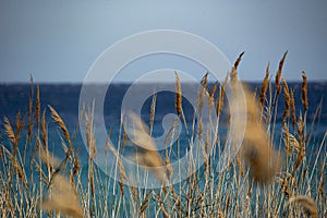 Landscape of coast called ESCALET in Ramatuelle near Saint-Tropez