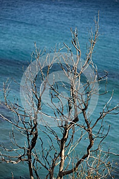 Landscape of coast called ESCALET in Ramatuelle near Saint-Tropez