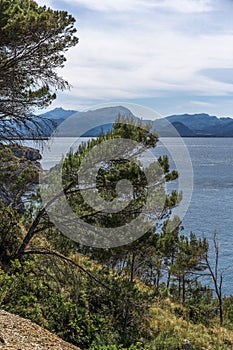 Landscape with coast of Mallorca