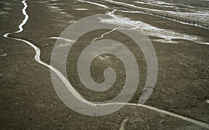 Landscape of coastal mud. Loneliness. Beach on tide. Water canal with natural pattern. Grey clay. Coastal ecosystems.