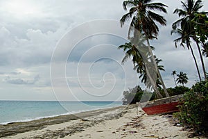 Landscape of the coastline of Jambiani, Zanzibar, Tanzania, Africa photo