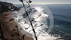 Landscape of the coastline, in winter in Portugal