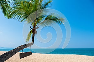 Landscape of coconut palm tree, Beautiful blue sea tropical beach.