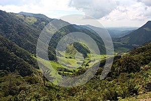 Landscape of Cocora valley, Colombia photo