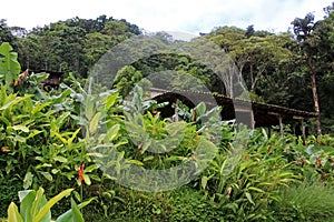 Landscape and coffee farm in the highlands of Matagalpa, Nicaragua