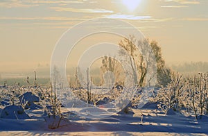 Landscape of cold winter fields