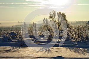 Landscape of cold winter fields