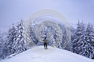 Landscape on the cold winter morning. Happy men is standing on the lawn covered with snow. Forests. Pine trees. Snowy background.