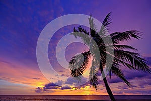 Landscape with colorful sunset blue-orange colors of sky with silhouette coconut palm tree on background