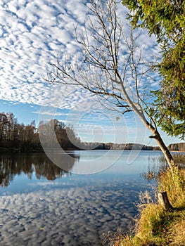 Landscape with colorful trees on the water`s edge and wonderful reflections on the water, beautiful autumn day