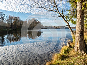 Landscape with colorful trees on the water`s edge and wonderful reflections on the water, beautiful autumn day