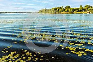 Landscape of the confluence of the Kotorosl and Volga rivers in the city of Yaroslavl