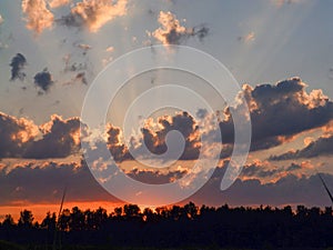 Landscape with contrasting sunrise, fuzzy, black tree silhouettes, hazy clouds, red sky