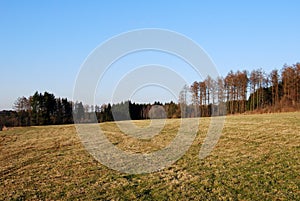 Landscape of a contryside field and forest trees, on a beautiful autumn day. Nature photography with a blue sky photo