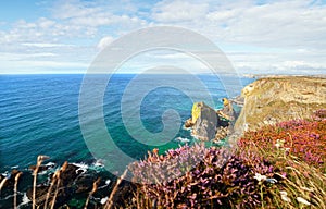 Landscape Cornwall sea cliffs heather